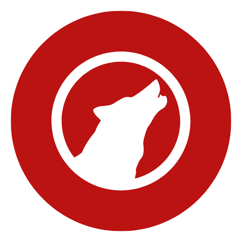 Mens high end coaching